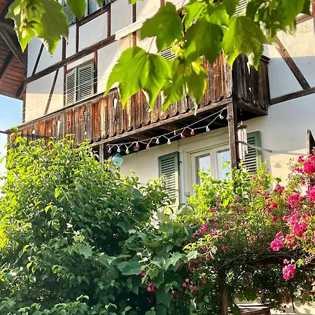 Bijou Bern-familien-interlaken-thun-aare *