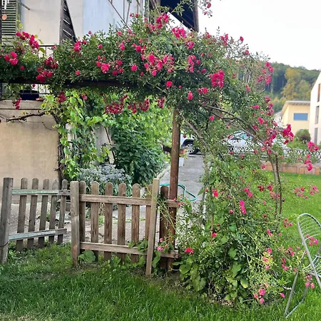 Bijou Bern-familien-interlaken-thun-aare Muri bei Bern