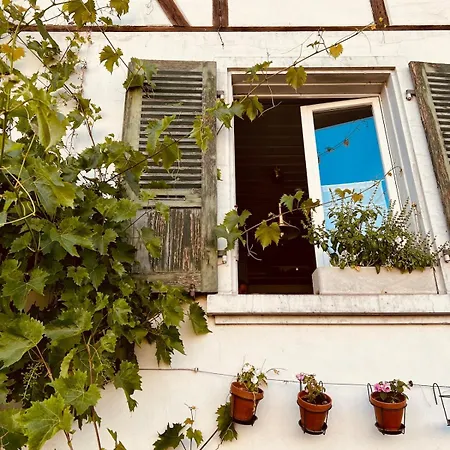 Apartment Bijou Bern-familien-interlaken-thun-aare *
