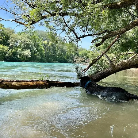Bijou Bern-familien-interlaken-thun-aare * Muri bei Bern