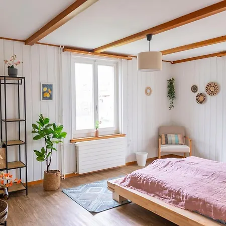 Bijou Bern-familien-interlaken-thun-aare Apartment